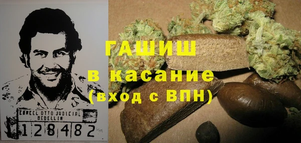 индика Горнозаводск